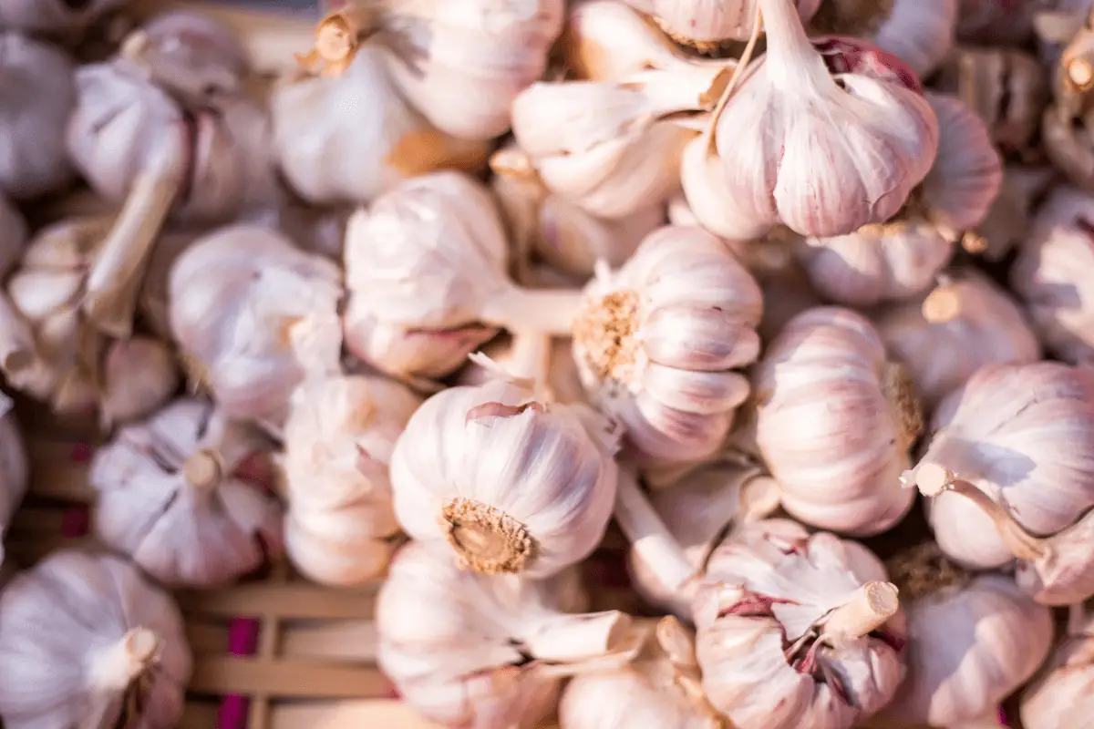 A pile of garlic bulbs in a basket on a pinkish background.