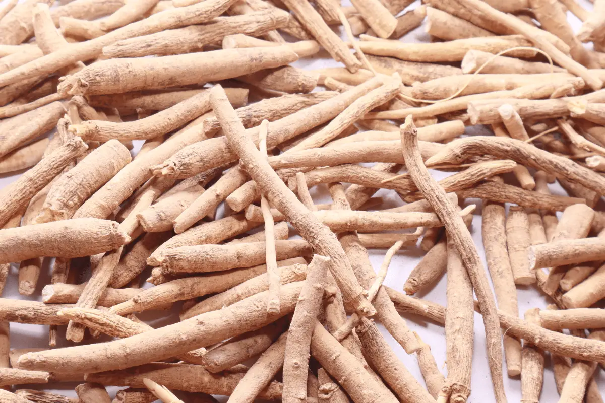 A pile of Ashwagandha roots on a white background.