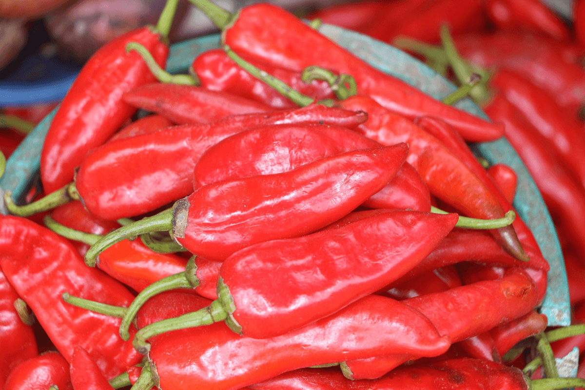 A pile of cayenne peppers in a blue-green bowl