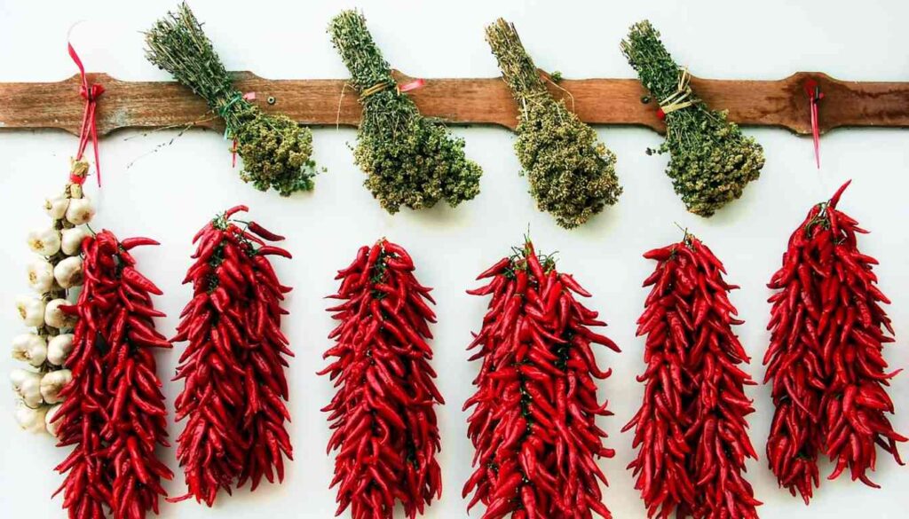 A variety of herbs and chili peppers are tied in bunches and hanging from a horizontal wooden rack against a white background.