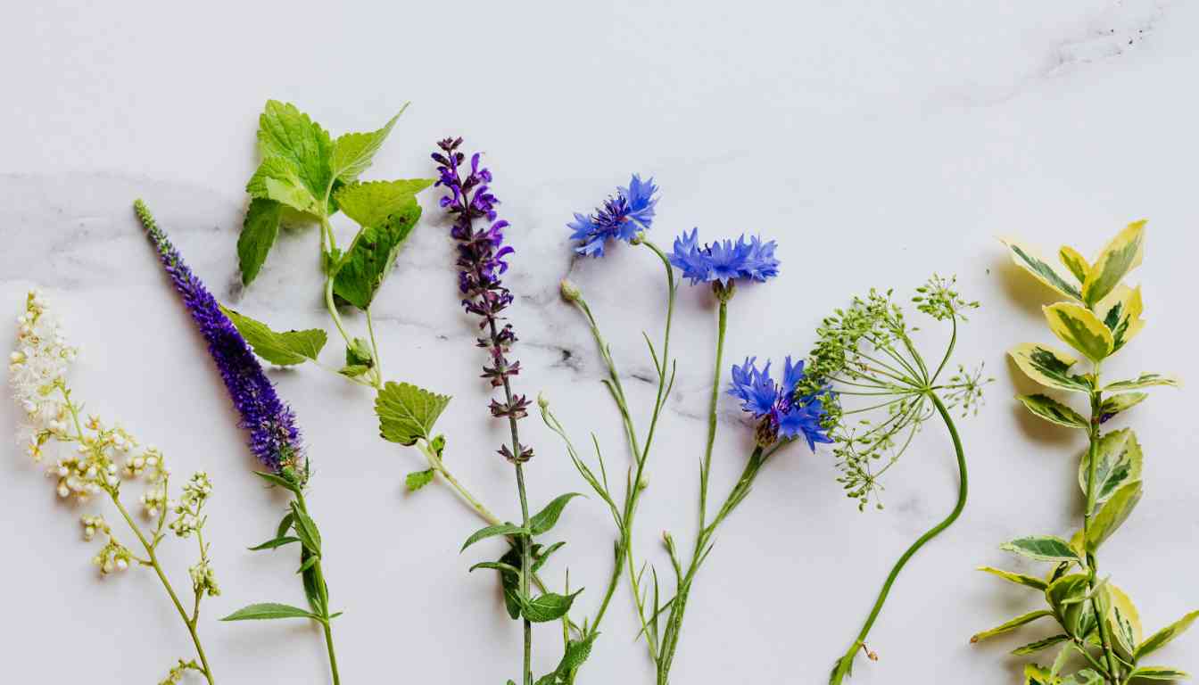 A variety of fresh herbs laid out on a white marble surface, including lavender, rosemary, thyme, and other greens commonly found in Herbs de Provence.