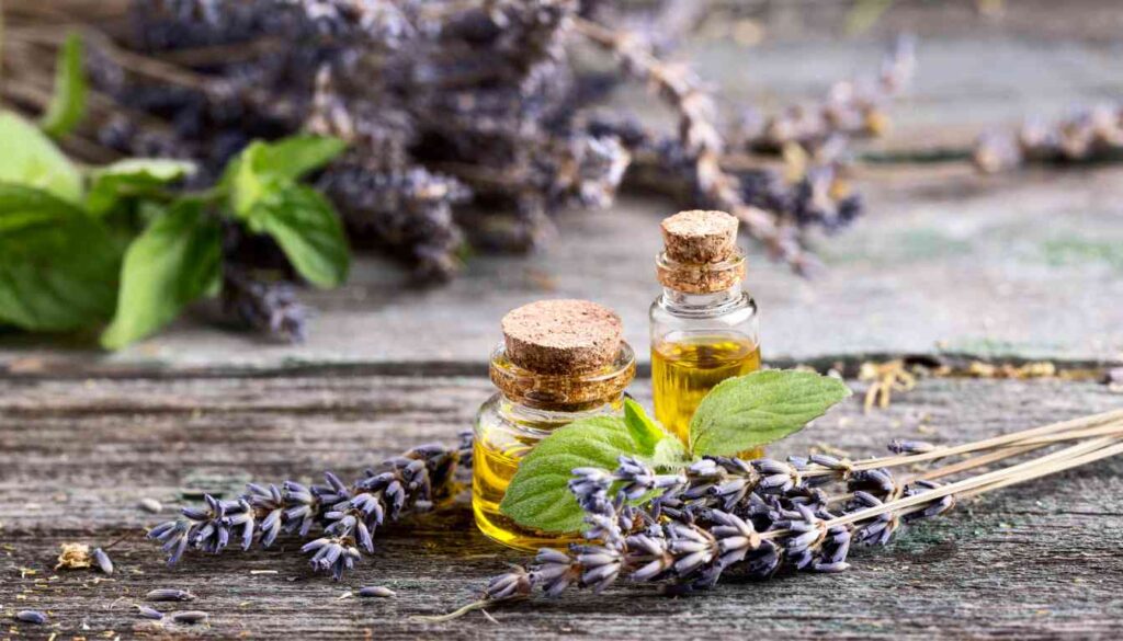 Two small glass bottles filled with yellow liquid, sealed with cork stoppers, surrounded by fresh green leaves and dried lavender sprigs on a rustic wooden surface.