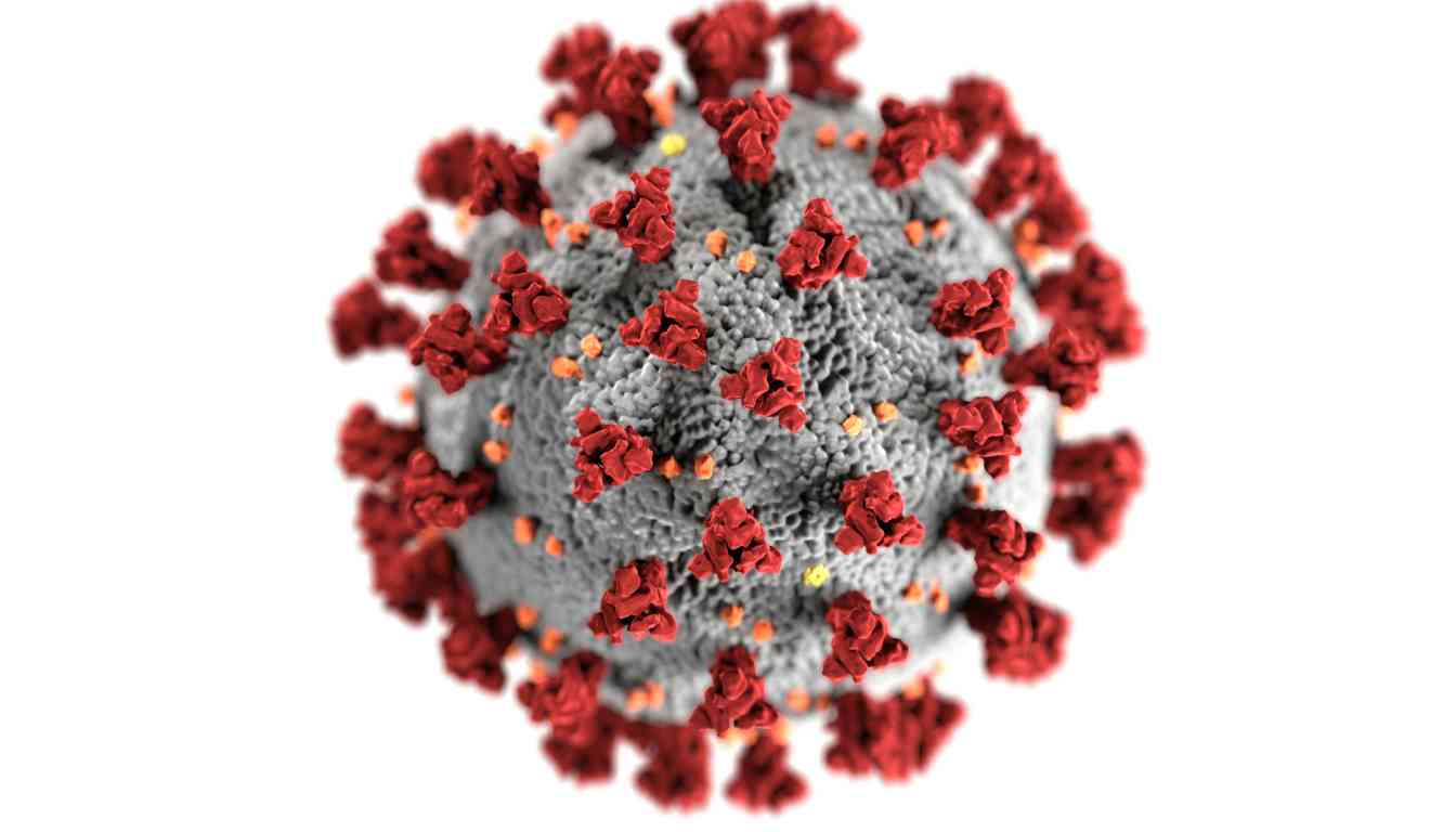 Close-up illustration of a virus particle with red spike proteins on a gray surface.