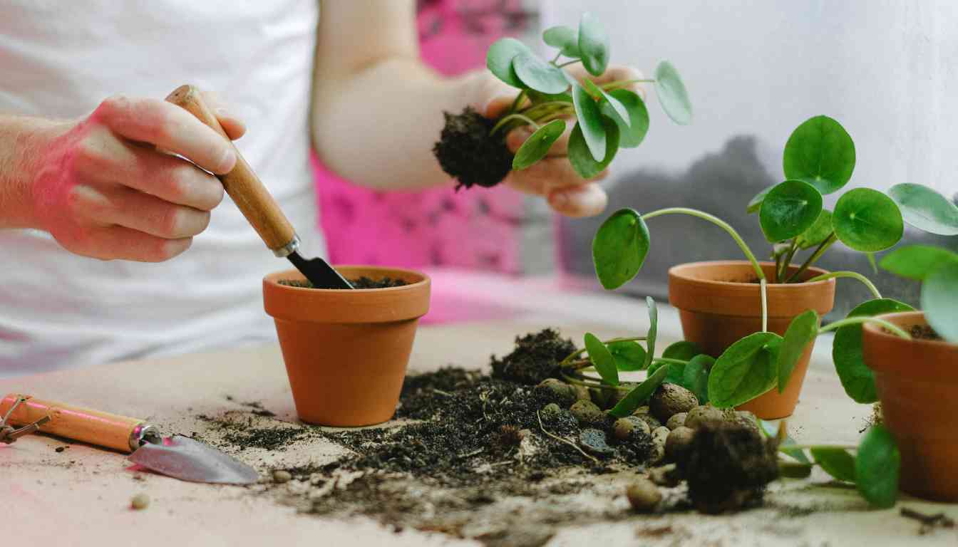 A collection of herb plants growing in various repurposed containers, including plastic ice cream tubs and a red pot, on a concrete surface.