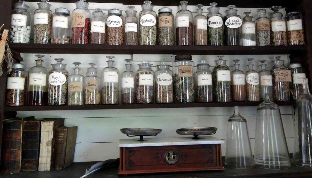 A collection of labeled glass jars containing various dried herbs on wooden shelves, with a vintage balance scale in the foreground, suggesting traditional herbal medicine practices for health benefits.