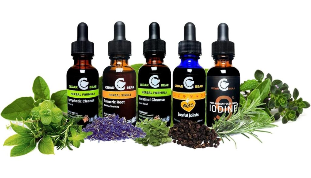 A collection of Cedar Bear herbal supplement bottles surrounded by various herbs.