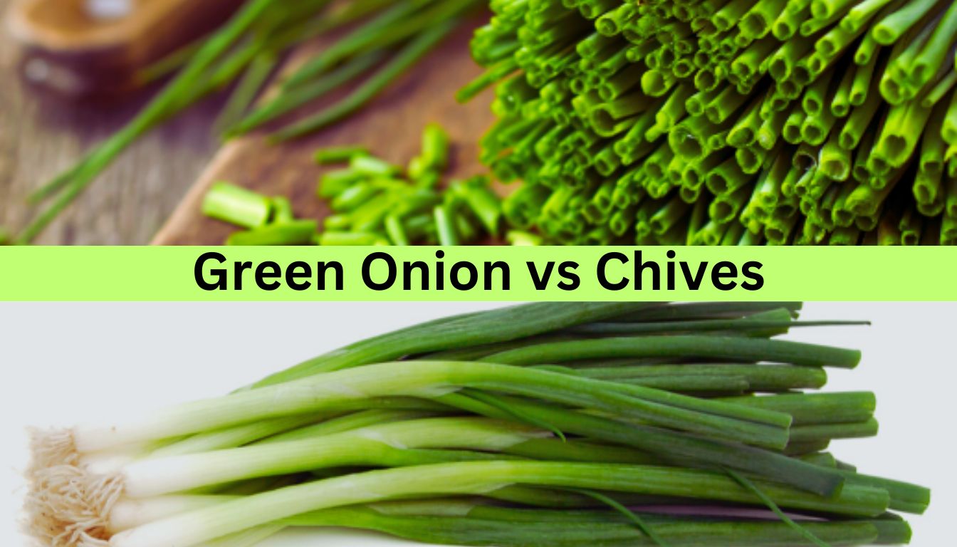 A comparison image showing green onions and chives. The top half of the image displays a close-up of chopped chives, while the bottom half shows whole green onions with white bulbs and green stalks. The text "Green Onion vs Chives" is centered in the middle.