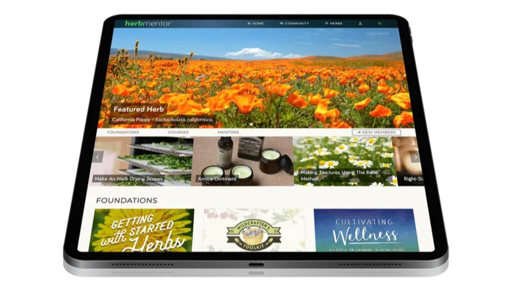 Tablet screen displaying the Herb Mentor website, featuring sections on herbs, education, and community, with a highlighted image of California Poppy.
