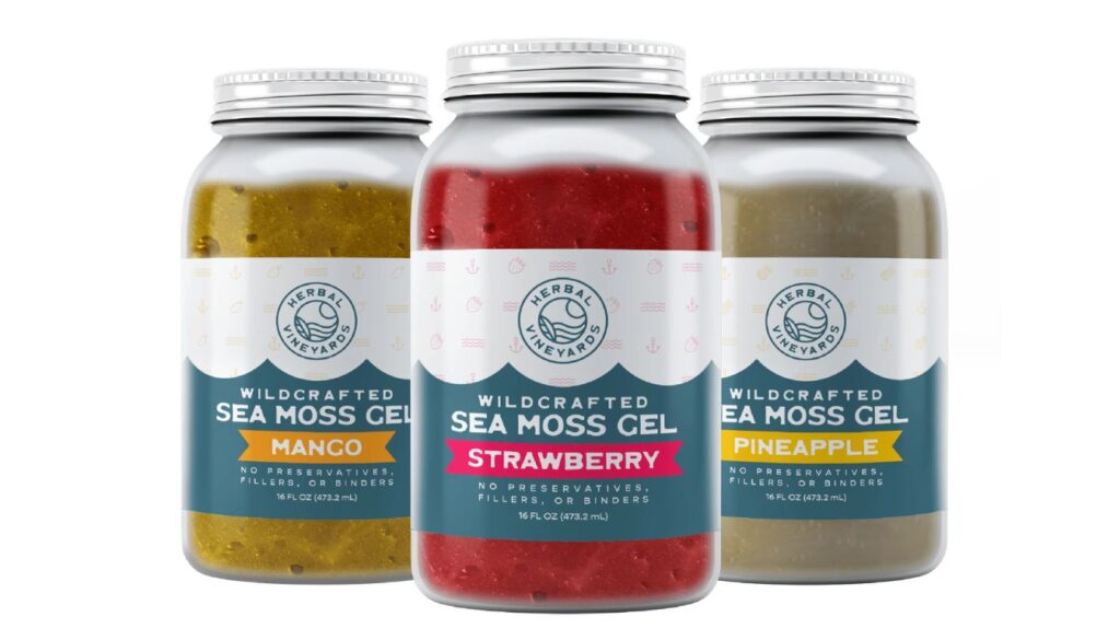Three 16oz jars of Herbal Vineyards wildcrafted sea moss gel in Mango, Strawberry, and Pineapple flavors, showcasing vibrant colors and natural ingredients.