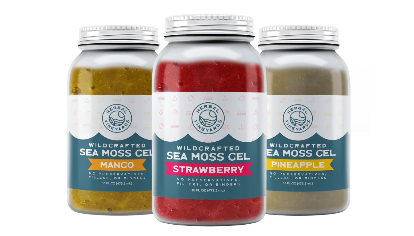 Three 16oz jars of Herbal Vineyards wildcrafted sea moss gel in Mango, Strawberry, and Pineapple flavors, showcasing vibrant colors and natural ingredients.