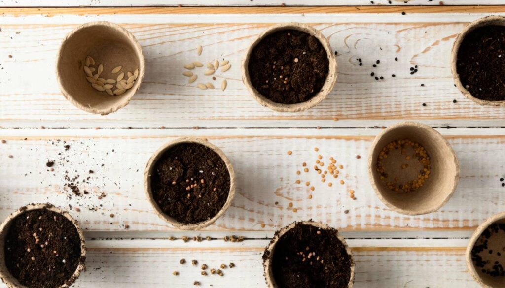 Small biodegradable pots filled with soil and various seeds scattered on a white wooden surface, ready for planting.