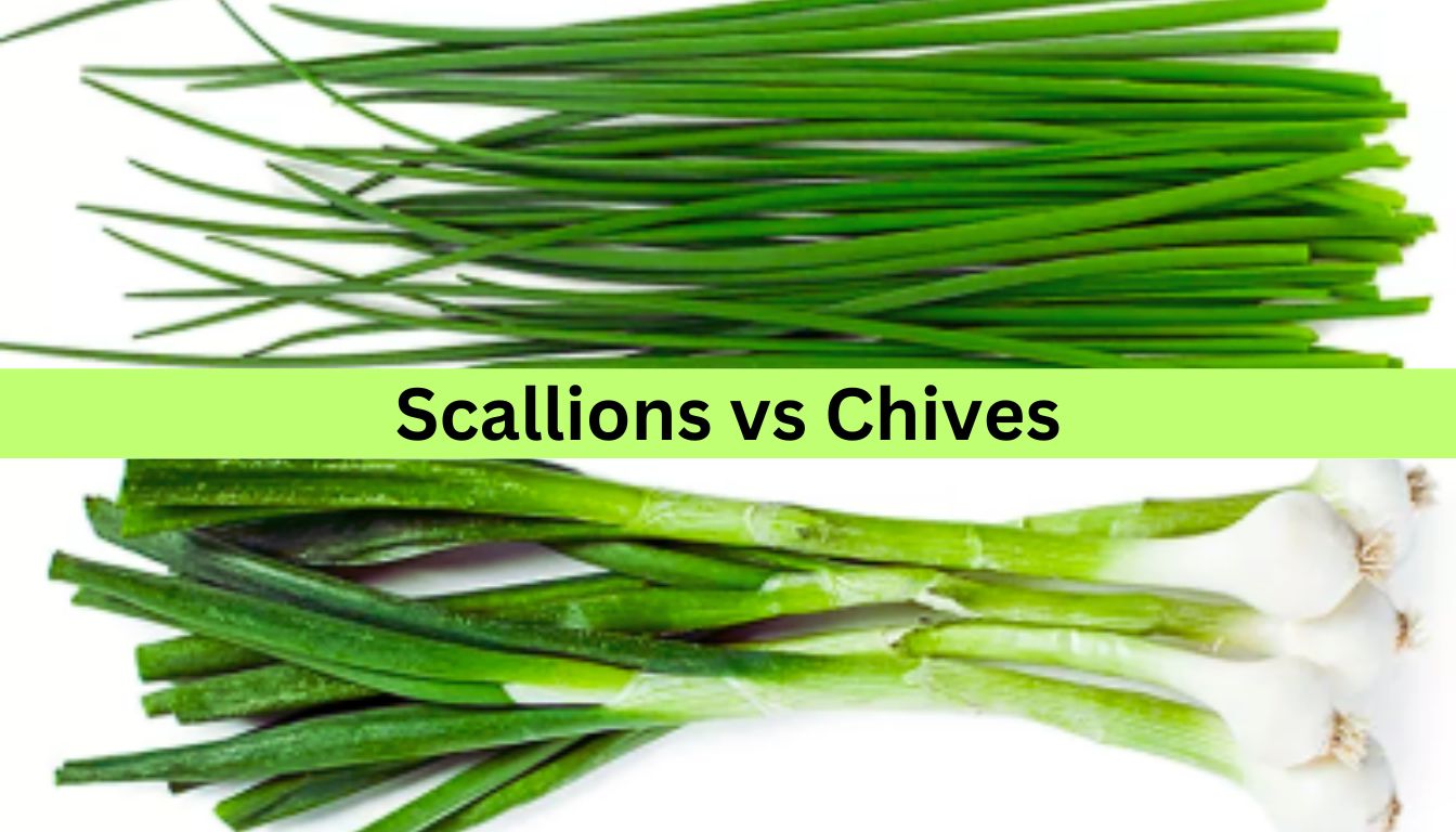 A comparison image showing scallions and chives. The top half of the image displays chives, which are thin and grass-like, while the bottom half shows scallions, which have a thicker green stalk and white bulbous ends. The text "Scallions vs Chives" is centered in the middle of the image.