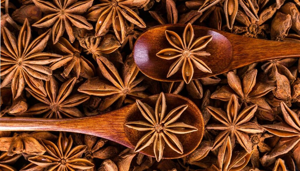 Close-up of star anise pods with two wooden spoons holding star anise.