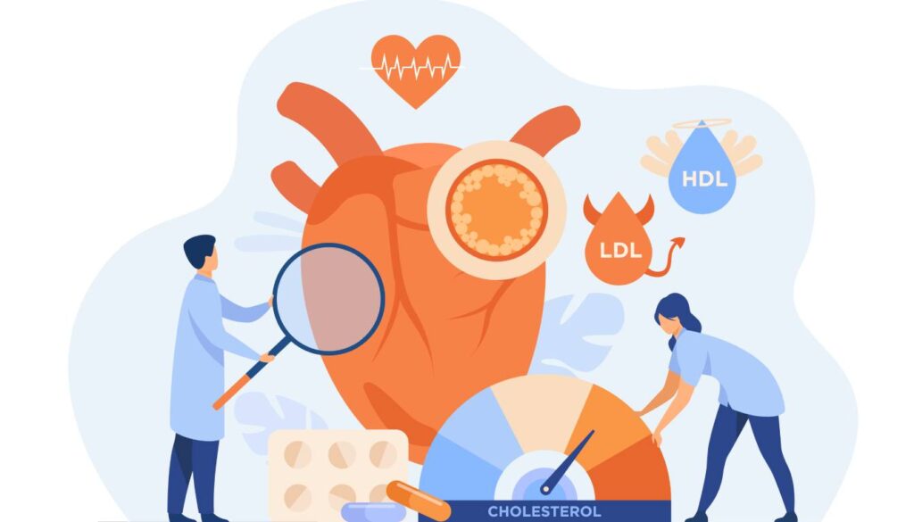 Two medical professionals examining a heart with a magnifying glass and a cholesterol meter, highlighting the roles of HDL and LDL cholesterol.
