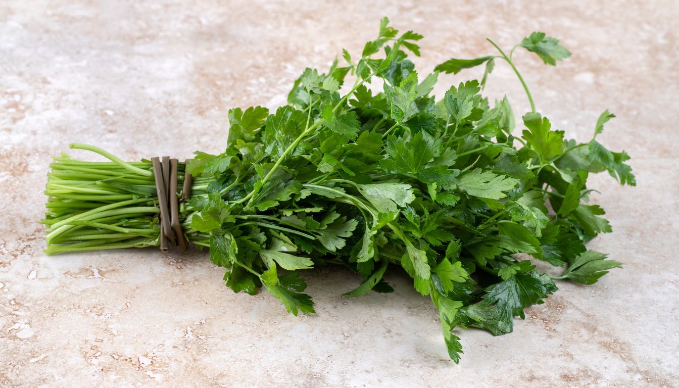 Fresh cilantro leaves on a wooden cutting board.