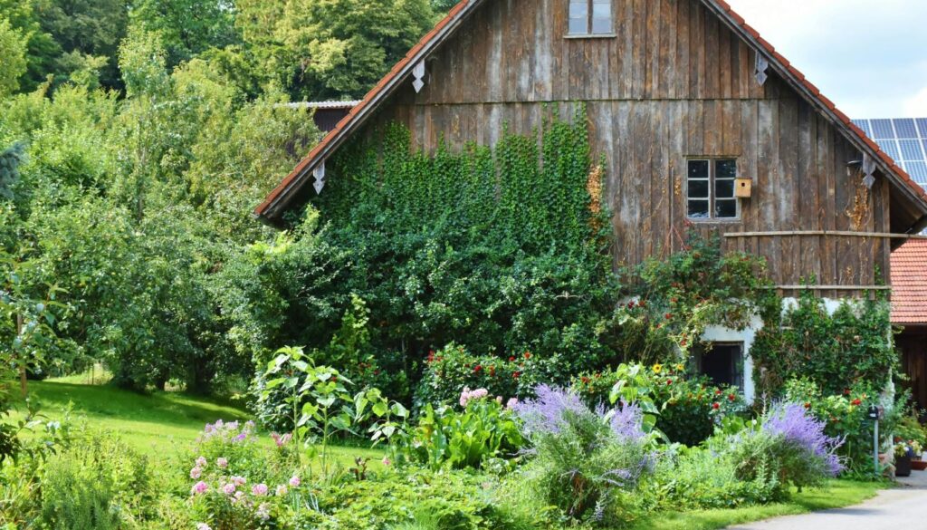 A rustic wooden house surrounded by a vibrant garden with various plants and flowers, some growing in shaded areas.