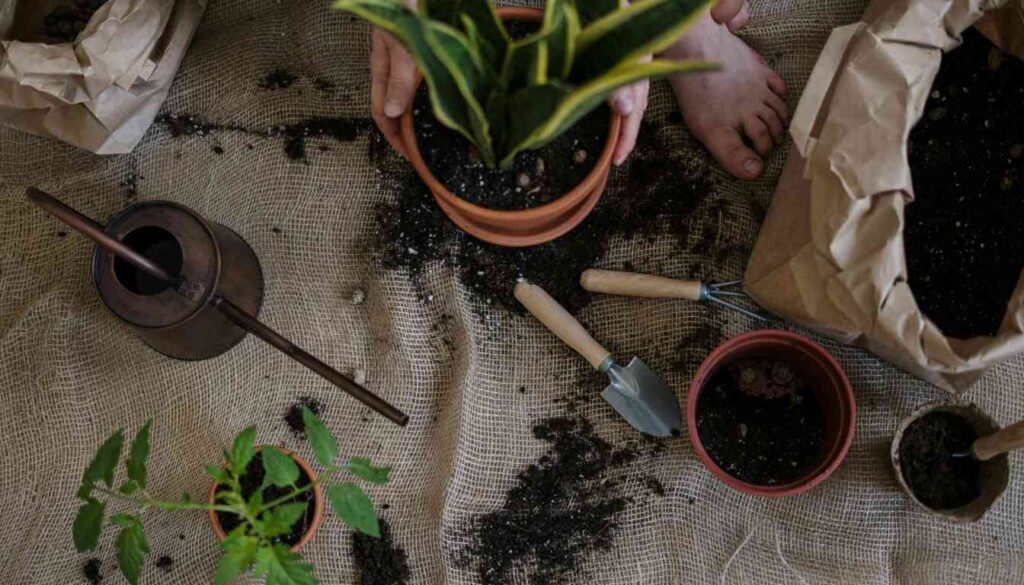 A top-down view of a person’s hands potting a plant, with gardening tools, pots, and soil scattered on a burlap surface.