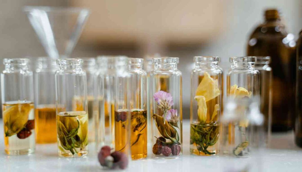 A collection of glass vials containing various herbal tinctures, each with different herbs and flowers submerged in liquid.