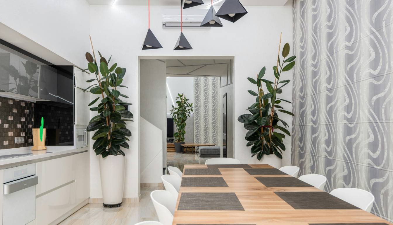 Indoor Trees Low Light: Discover the Top 10 Options! (2026)