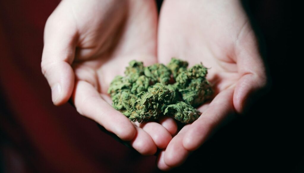 All Types of Weed List