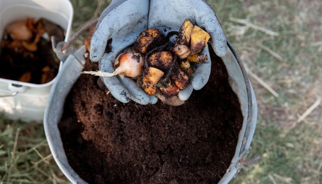 Compost Starter Homemade