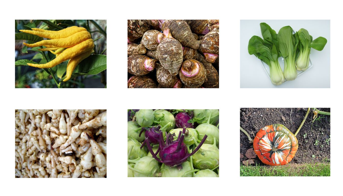 A vibrant assortment of unique vegetables, including purple cauliflower, rainbow carrots, and multicolored tomatoes, displayed on a rustic wooden table.