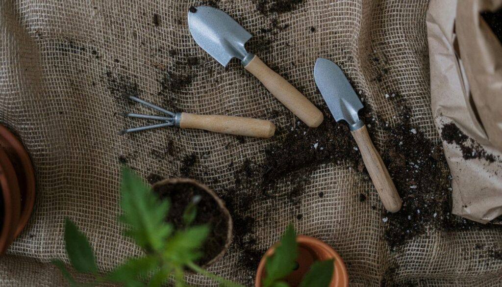 Organic Rooting Hormones