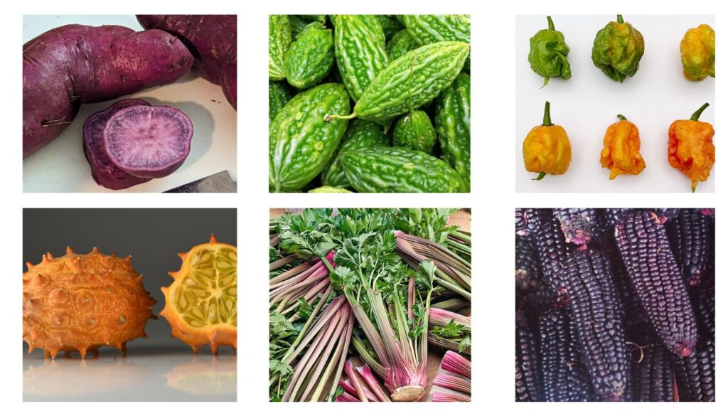 A collage of six unique and uncommon vegetables, including a purple sweet potato, bitter melons, various colored hot peppers, horned melons, red-stemmed leafy greens, and purple corn.