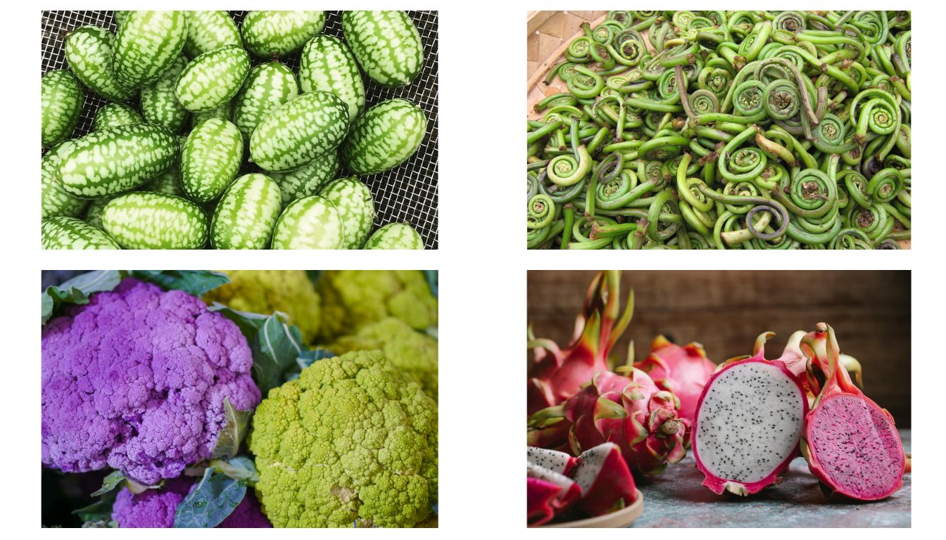 A collage of four unique and uncommon vegetables: cucamelons, fiddlehead ferns, colorful cauliflowers, and dragon fruits.