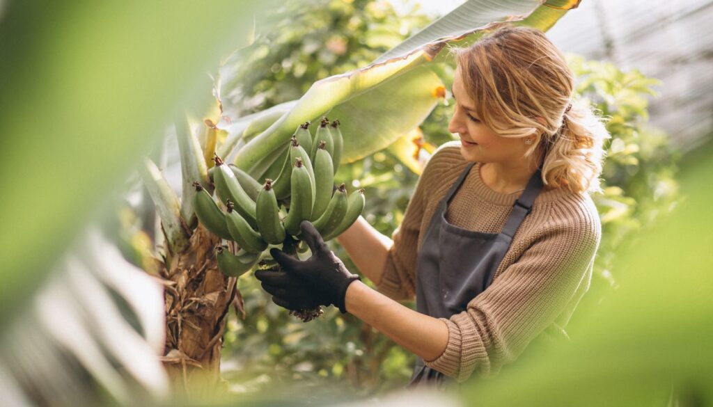 Can You Grow a Banana Tree from a Banana