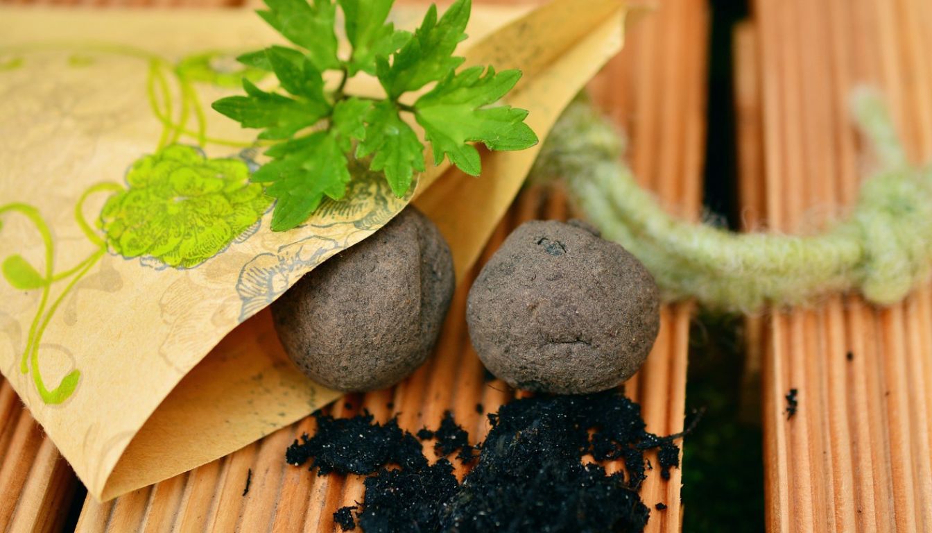 Two seed bombs partially covered by a decorative paper envelope, with a small green plant sprouting from one of the seed bombs, and some loose soil scattered on a wooden surface.