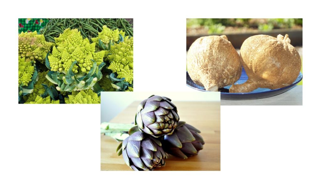 Three unique vegetables: Romanesco broccoli with fractal florets, jicama roots on a blue plate, and purple-green artichokes.