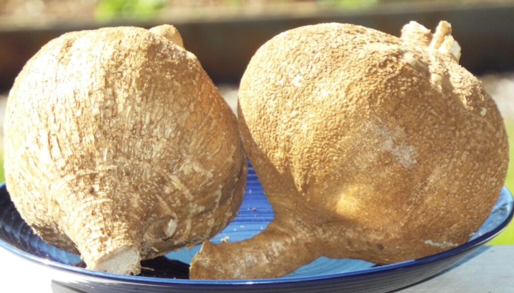 Obscure Vegetable Names