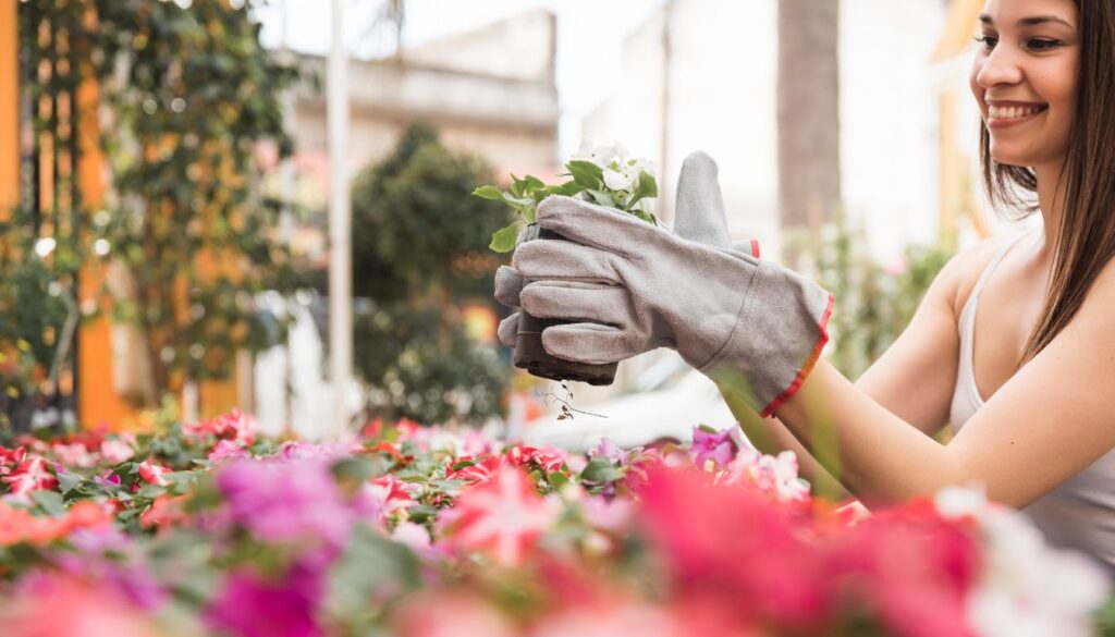 A gardener wearing gloves holds a small potted plant with white flowers, surrounded by blooming pink, red, and purple flowers in an outdoor garden.