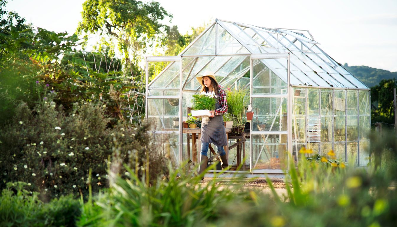 Person holding a tray of potted plants at the entrance of a glass greenhouse surrounded by a lush garden.