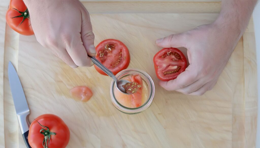How to Dry Tomato Seeds