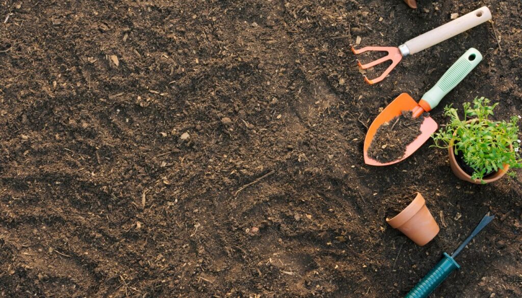 Raise pH Level in Soil