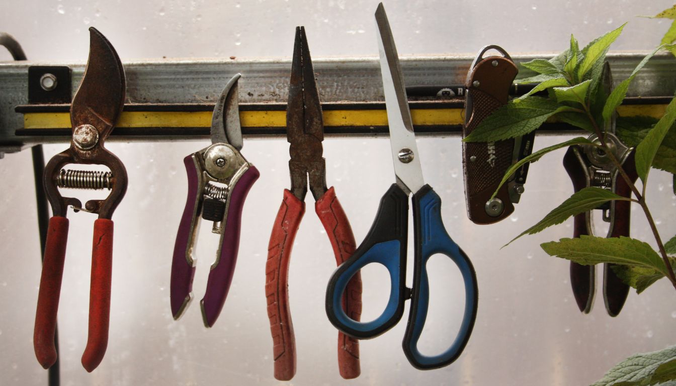 Assorted pruning shears and garden tools hanging neatly on a metal rail, ready for use in plant care.