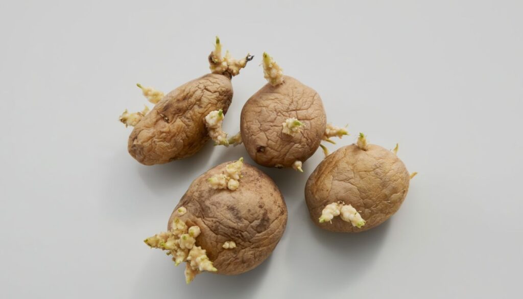 What To Do With Potatoes That Sprout Roots