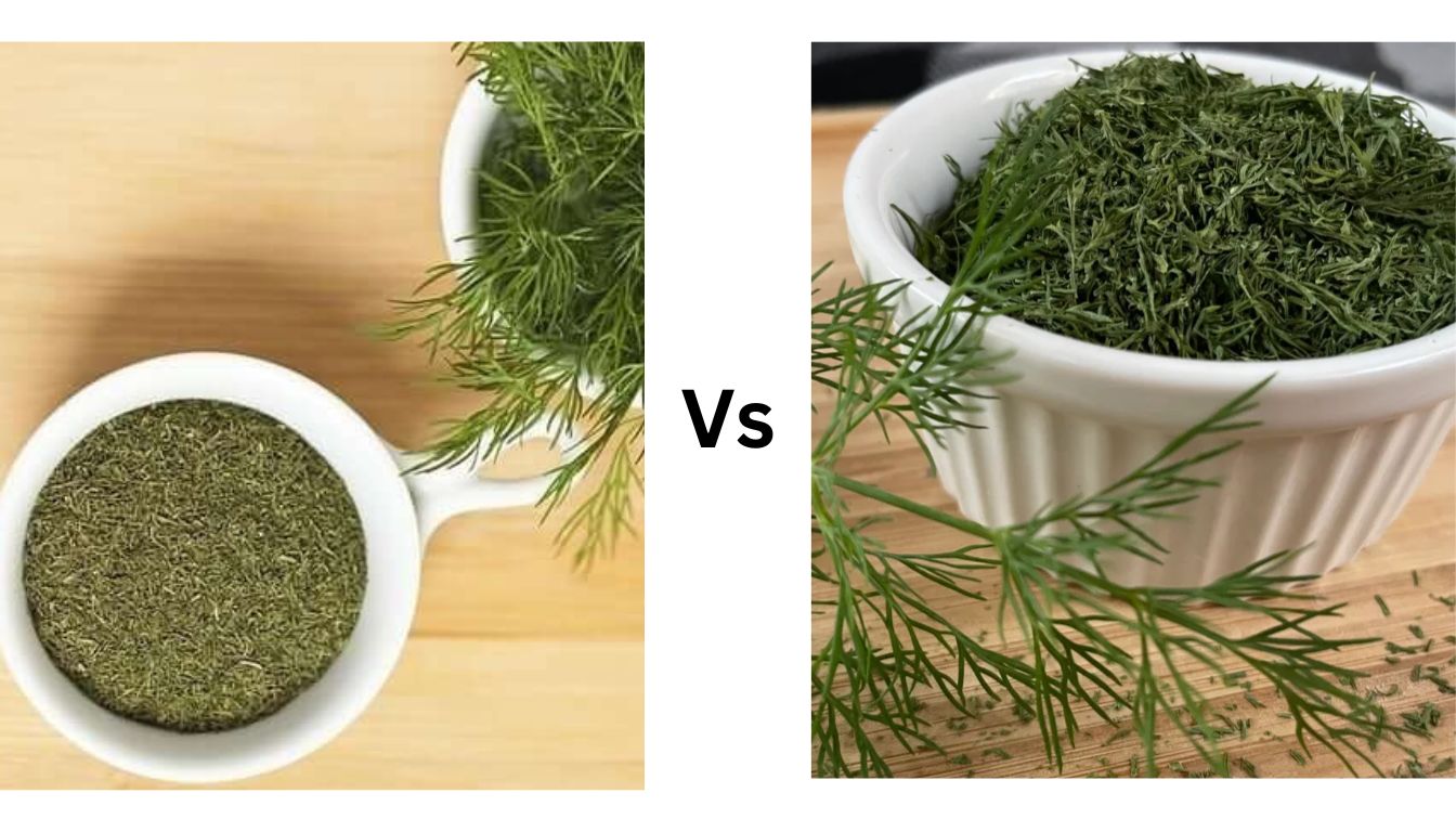 A comparison image showing dried dill on the left and fresh dill weed on the right, both in white cups.