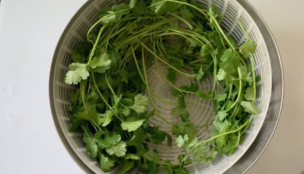 Freshly dehydrated cilantro leaves crumbling into fine flakes on a parchment-lined tray.