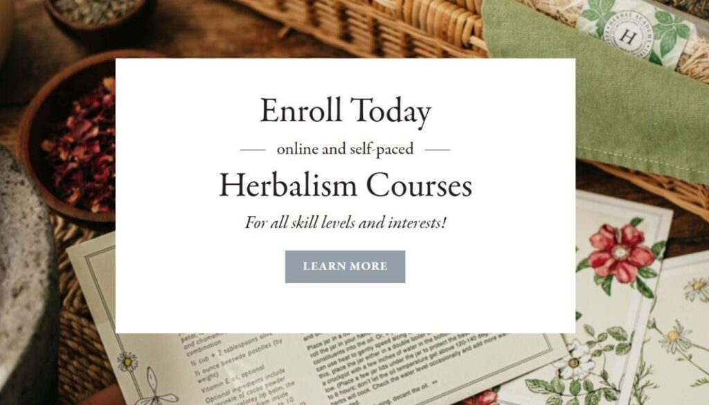 Herbal Academy Review
