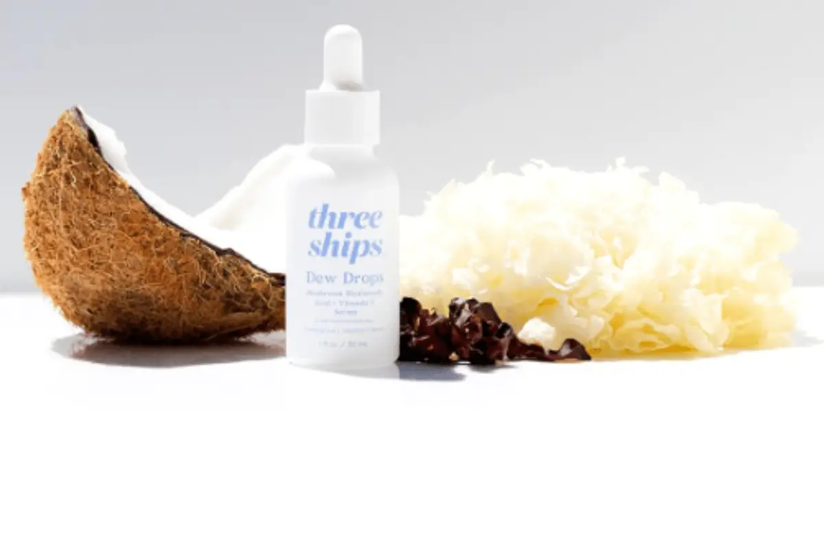 A bottle of Three Ships Dew Drops surrounded by a coconut shell, pine cones, and a white sponge.