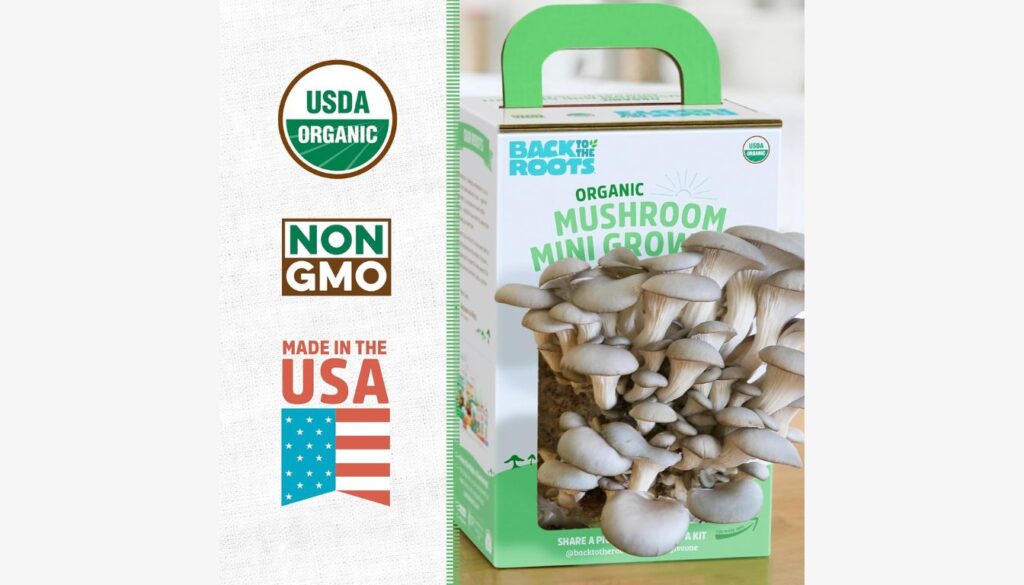 The best-rated mushroom growing kit available in the US