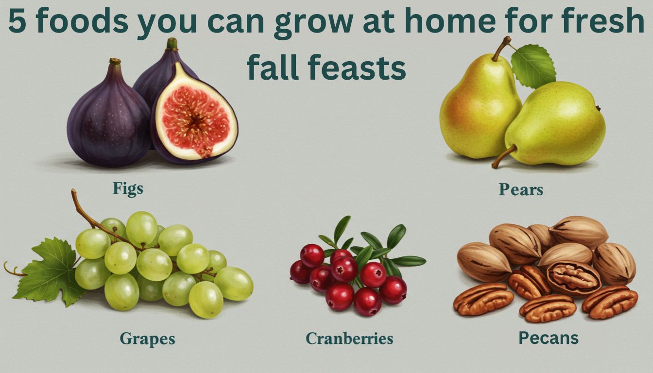 A collection of five foods that can be grown at home for fall feasts, including figs, pears, grapes, cranberries, and pecans.