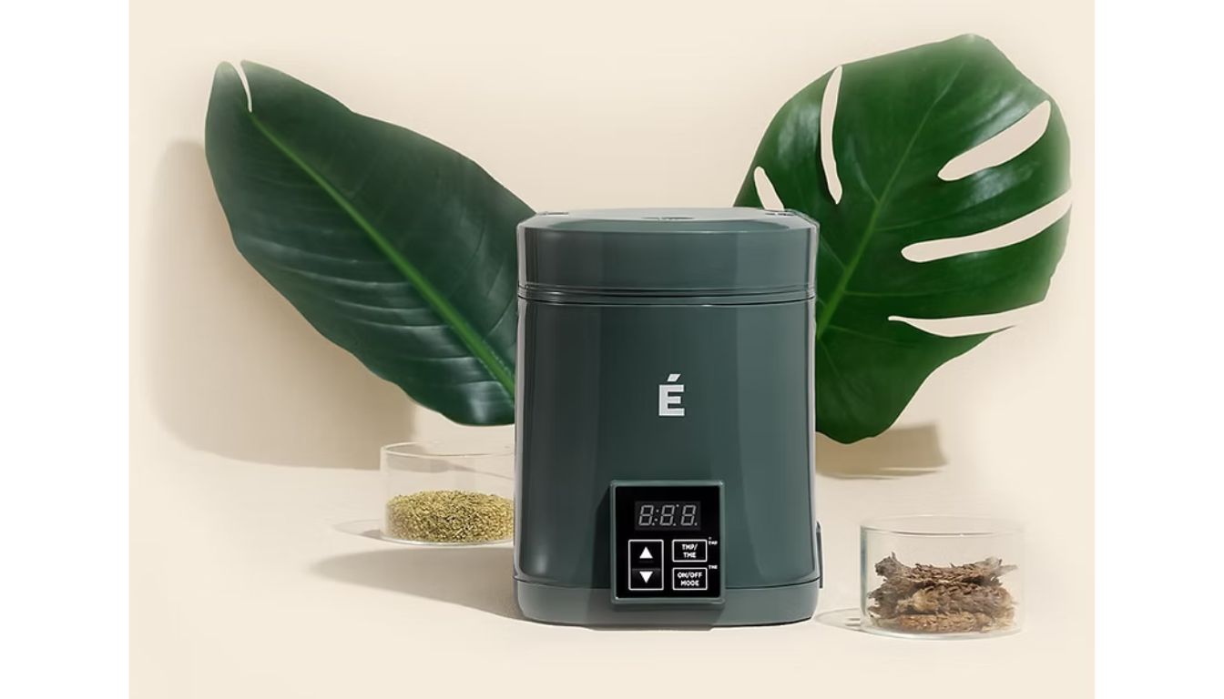 A sleek, dark green Ecru Herb Decarboxylator with a digital display and control buttons, placed between two glass containers holding herbs, with large green leaves in the background.