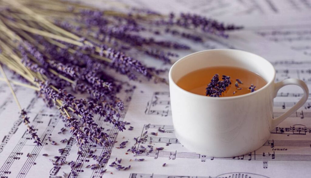 A white cup filled with lavender tea, with sprigs of lavender floating in it, placed on a sheet of music with more lavender sprigs scattered around.