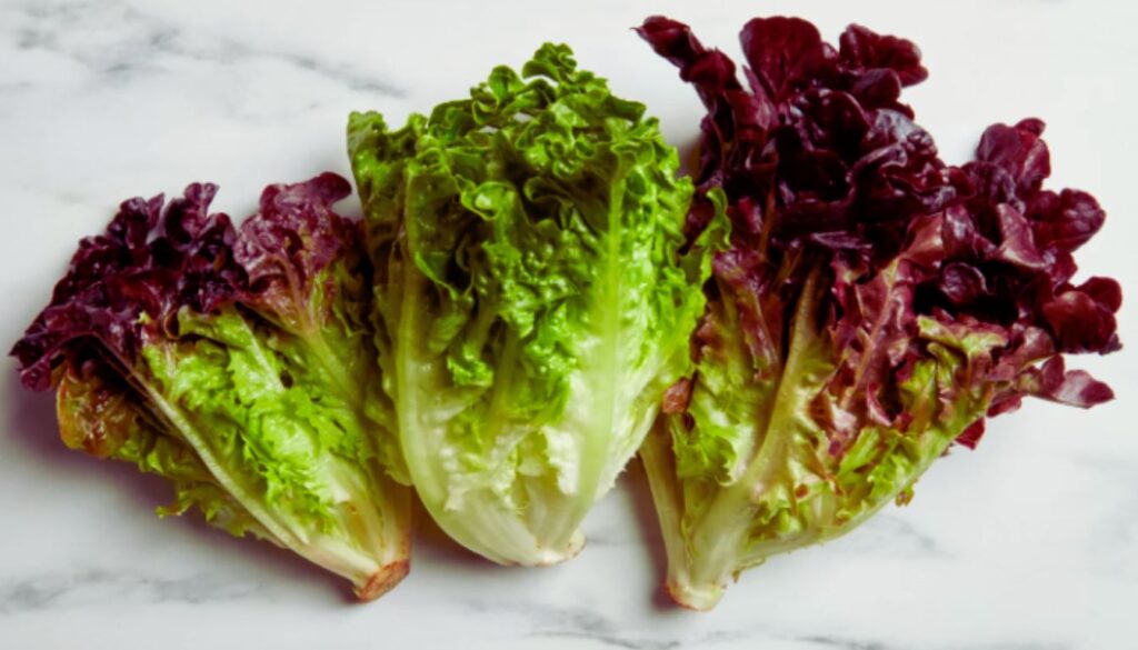 Three heads of red leaf lettuce with green centers and reddish-purple outer leaves, displayed on a white marble surface.