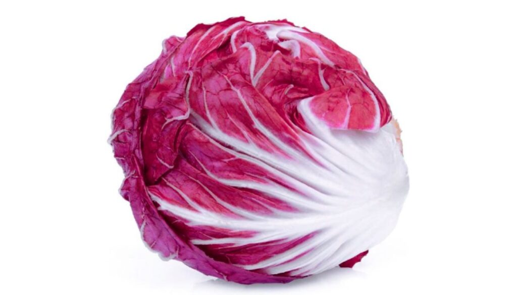 A head of red lettuce with vibrant red and white leaves.