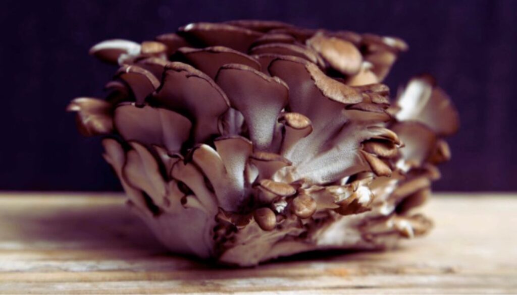 Close-up of a Maitake mushroom on a wooden surface.